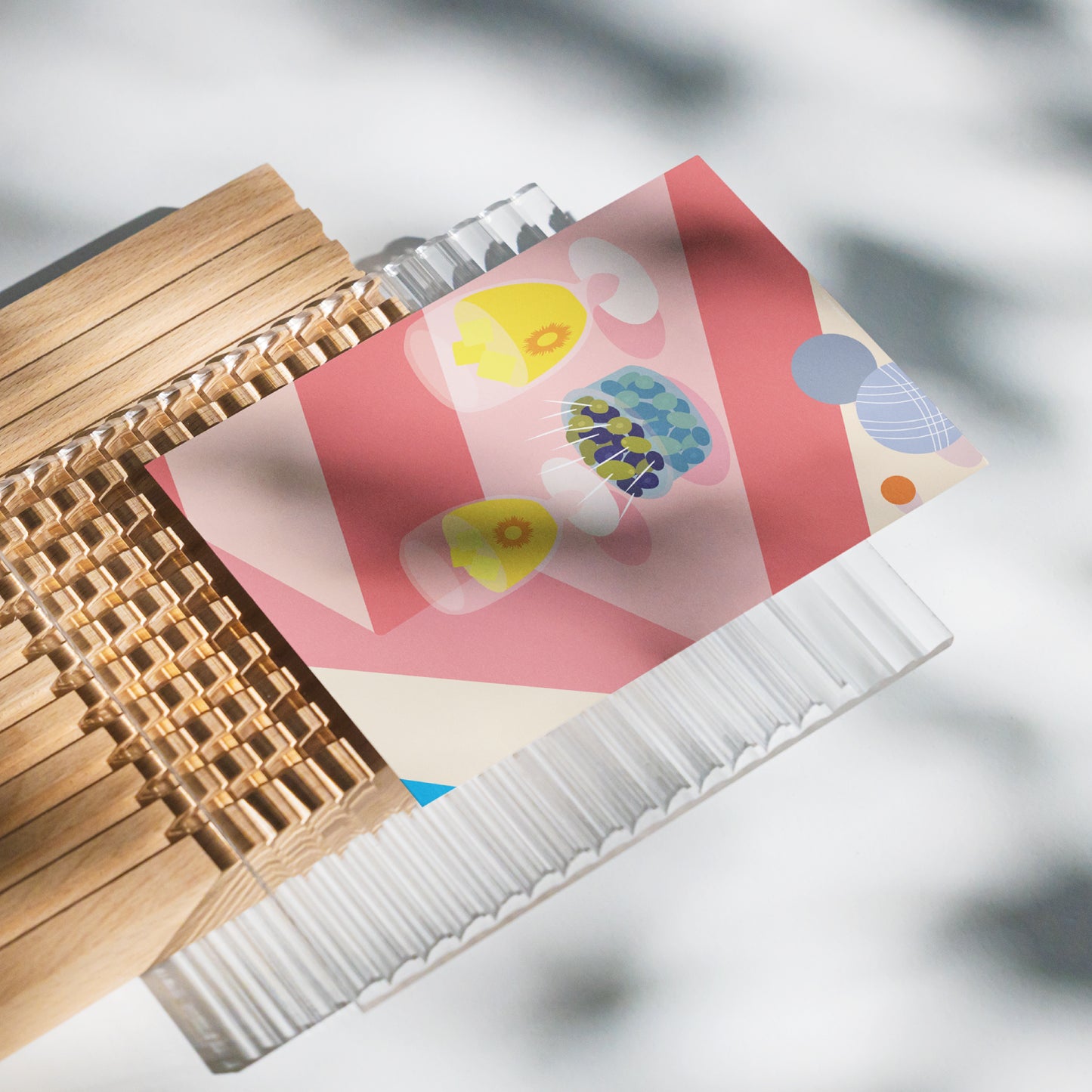 CARTE "PASTIS & PÉTANQUE"